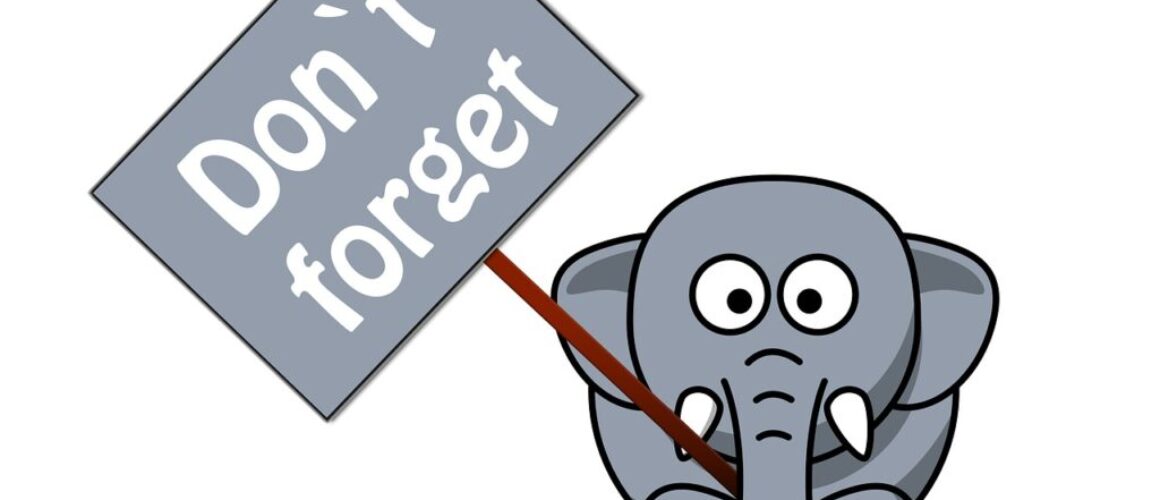 elephant, trunk, sign-279901.jpg